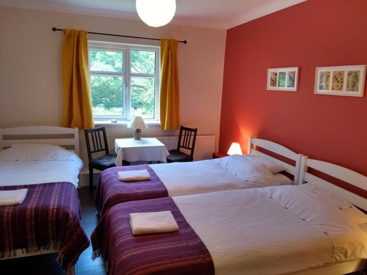 Kilcommon Lodge Holiday Hostel Белмаллет Экстерьер фото
